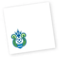 スタジアム観戦